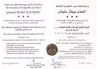 The Lebanese Excellence Award Certificate 2012 - 2013